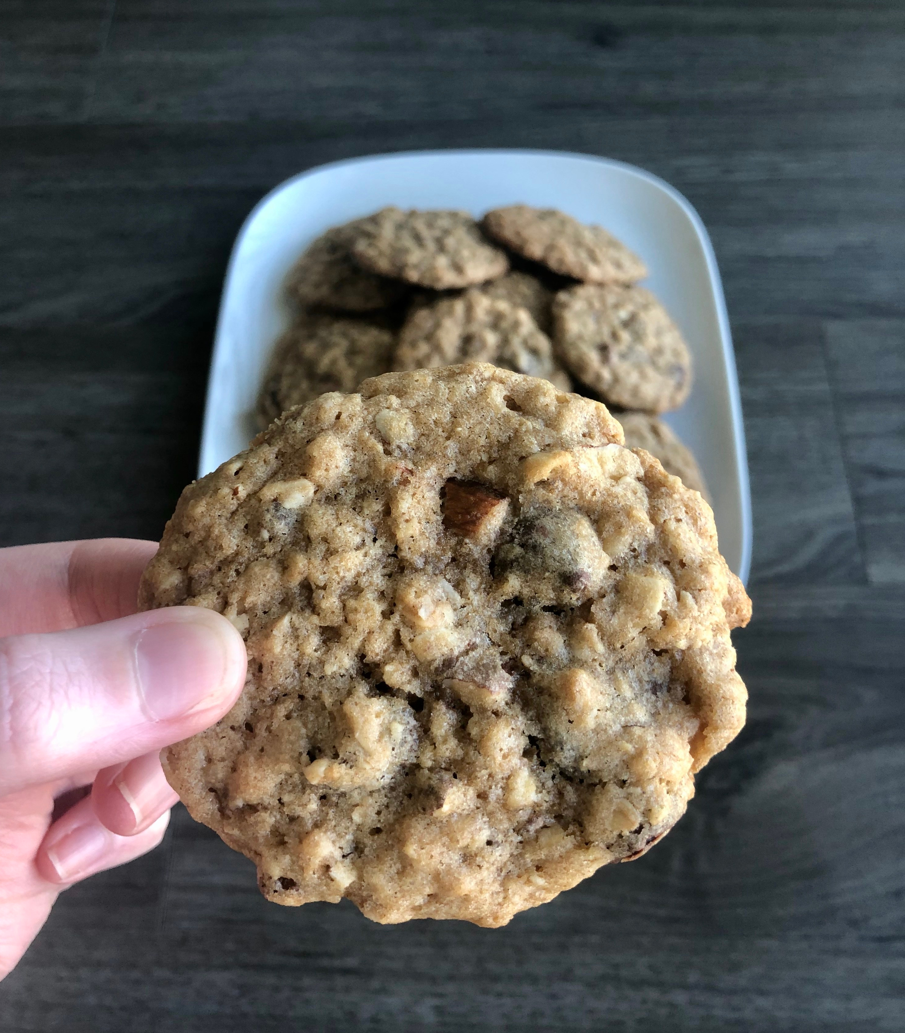Oatmeal Raisin Chocolate Chip Cookie